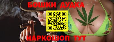мдпв Будённовск