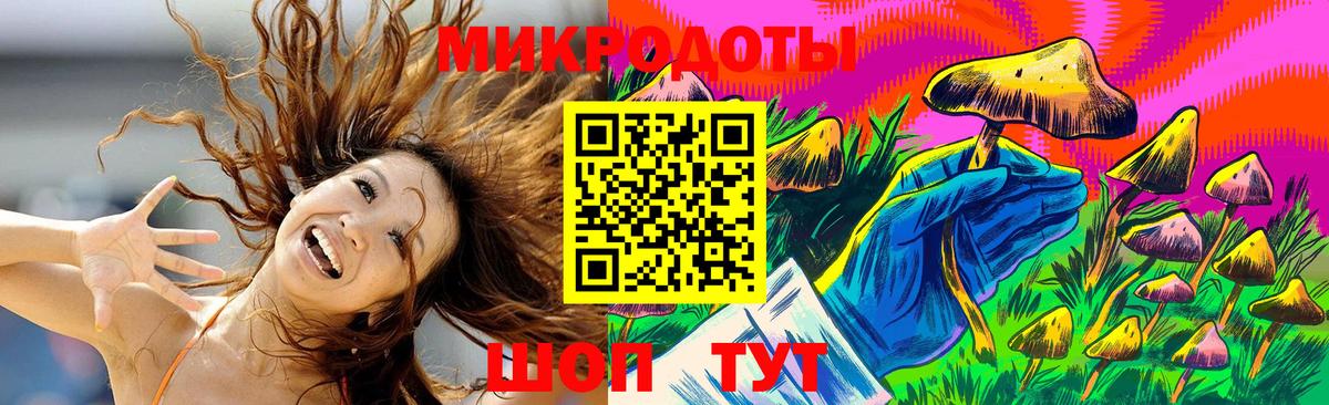 Галлюциногенные грибы прущие грибы Мурманск