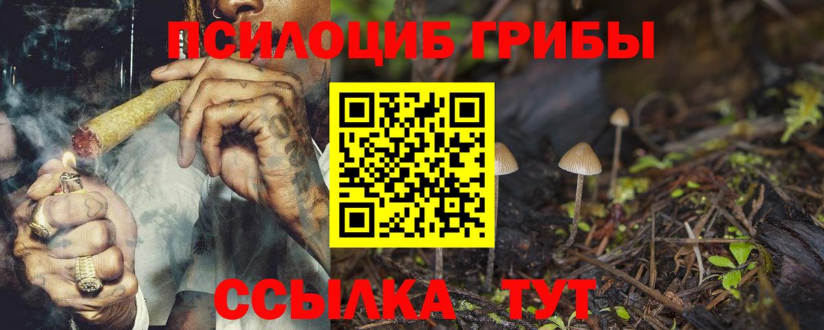 купить закладку  Вход с VPN  Мурманск  Псилоцибиновые грибы GOLDEN TEACHER 